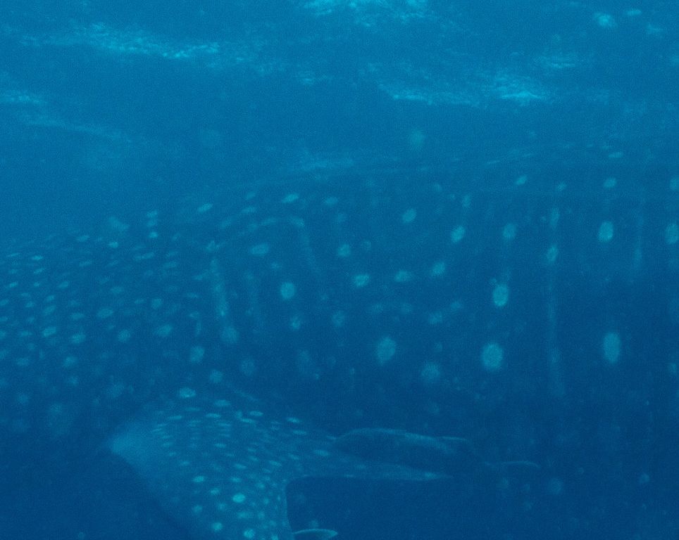 9f547409-5621-4363-a6e4-e3b8c8ed4e2a