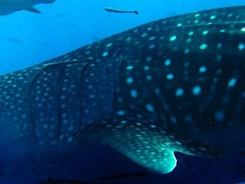 fd576b13-e6ef-45a7-8565-7d54a0930323