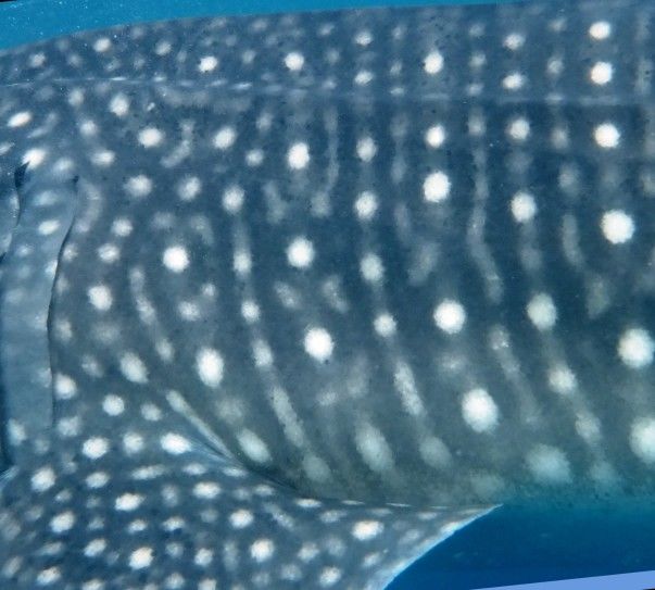 933ac14d-d25a-41b5-aa08-6c657a1906c5