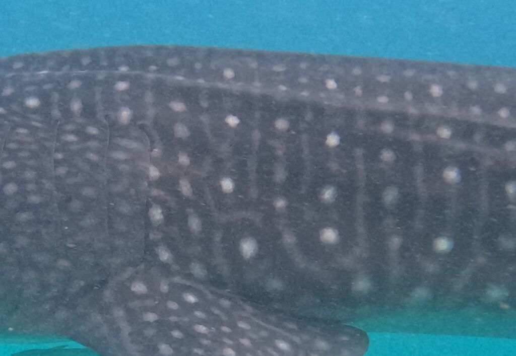 d8ede68c-dd04-4845-9bbc-05afbbe9407c