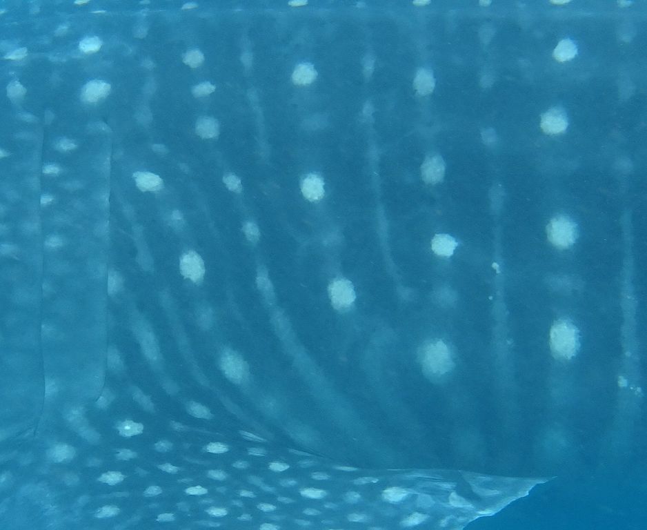 014bea73-35f6-4619-8c75-b8832f308068