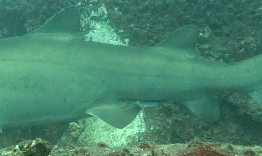 fdfcbad9-3440-47b3-94bb-051a0da3756f