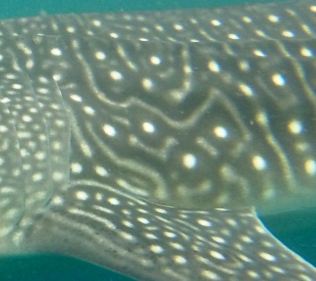 dc5d957a-5ddd-4f5b-ac4d-caa3dc9a3dee