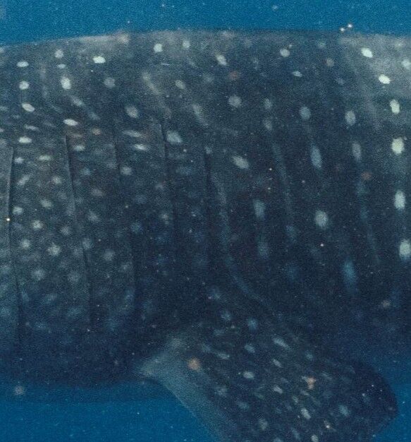 4f313442-c85f-455e-9f53-04d29fd61af7