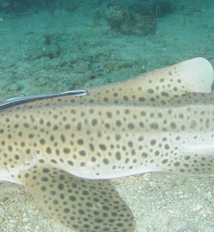 b7231fd2-22d1-4542-b614-1e2efb9815eb