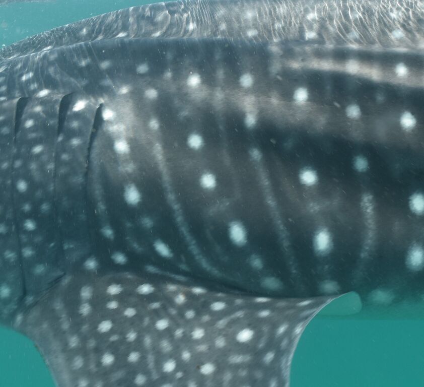 3d2a0e85-a982-4b7d-956d-dac00c67b1a4