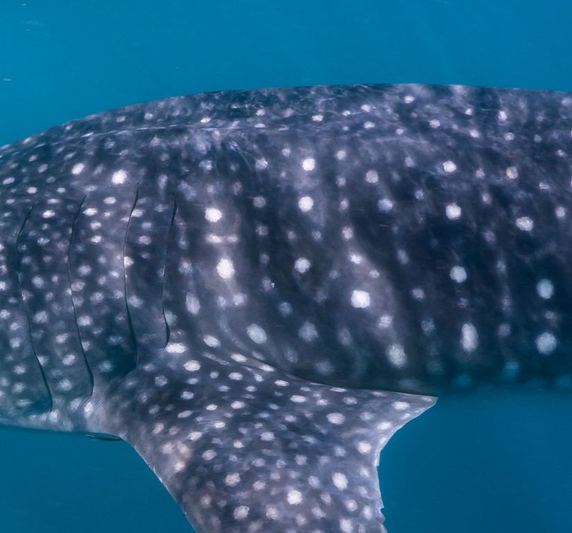 15874d60-371f-437b-8aea-1cd43a5f5df6