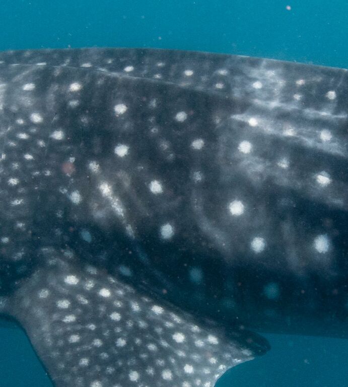 9a423ec4-8096-47d2-aae9-f41d6d9219cd