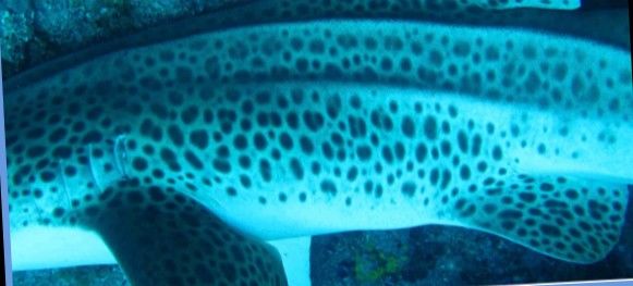 b264f02b-4d73-4be9-9d1c-d8c6bbe21cdf