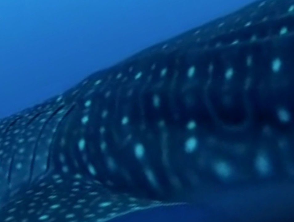 e9086307-bbbc-4a76-9124-723120aaf016