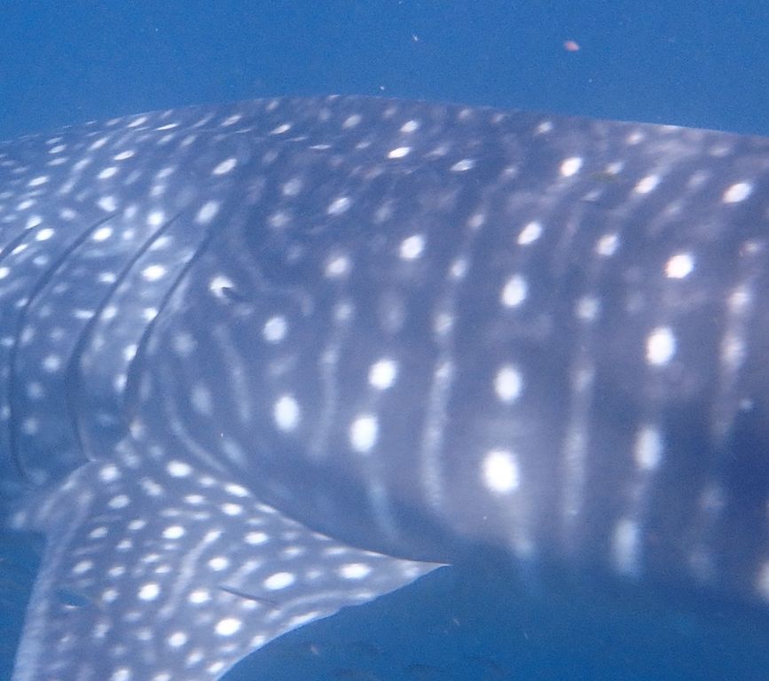 a9c9c750-f8ba-42f2-8a97-948502d68c88