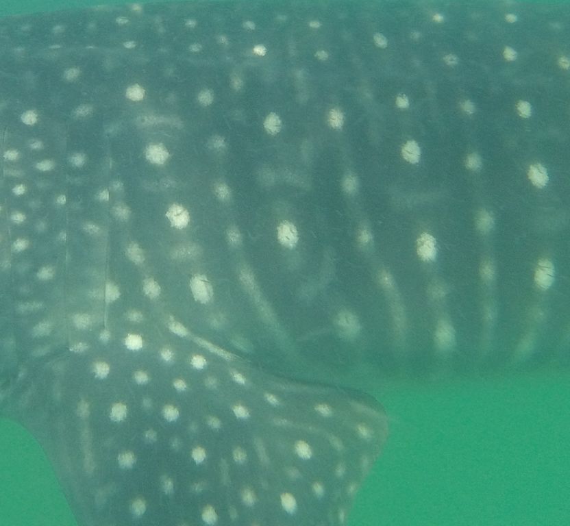 0861b831-648f-4d9e-bc45-015f84a07d95