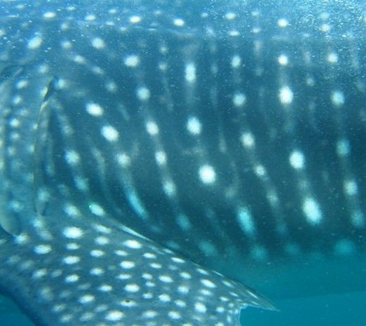 f4e15aff-c0fd-4baf-99f8-b5e7ceb73024