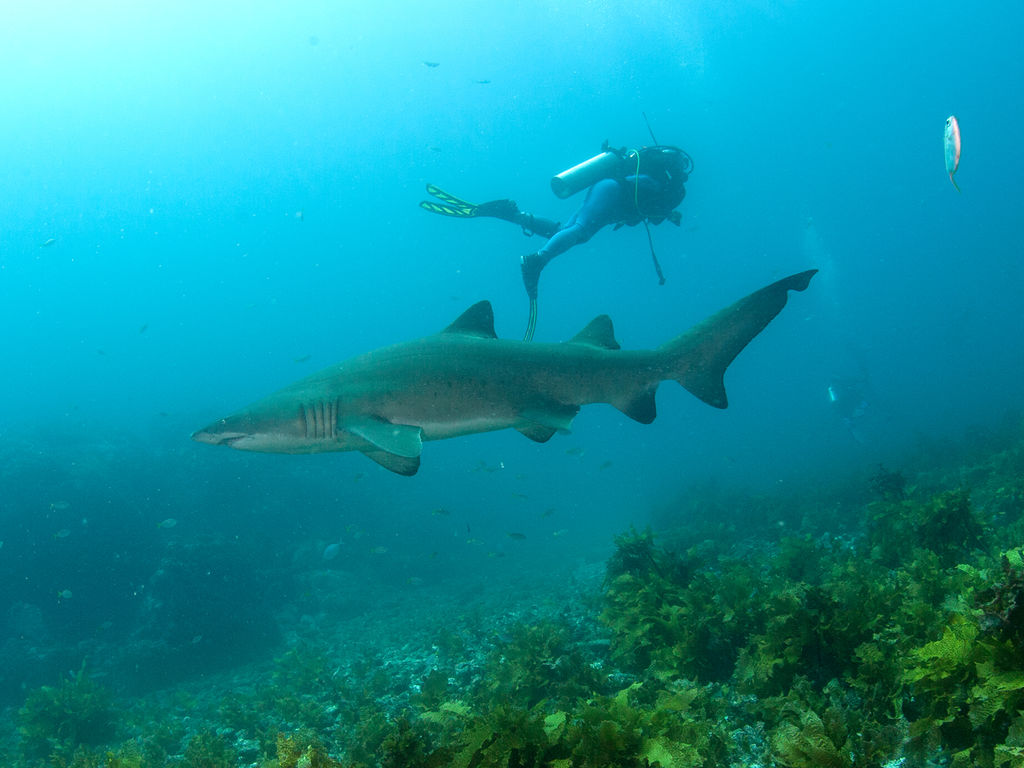 8a54b576-9547-4d5d-ba35-6d9643e0eeae