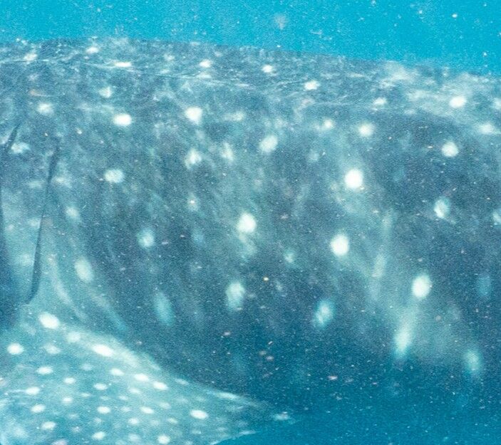 4ae899b3-082c-42c9-ac49-1ec4b6511afa