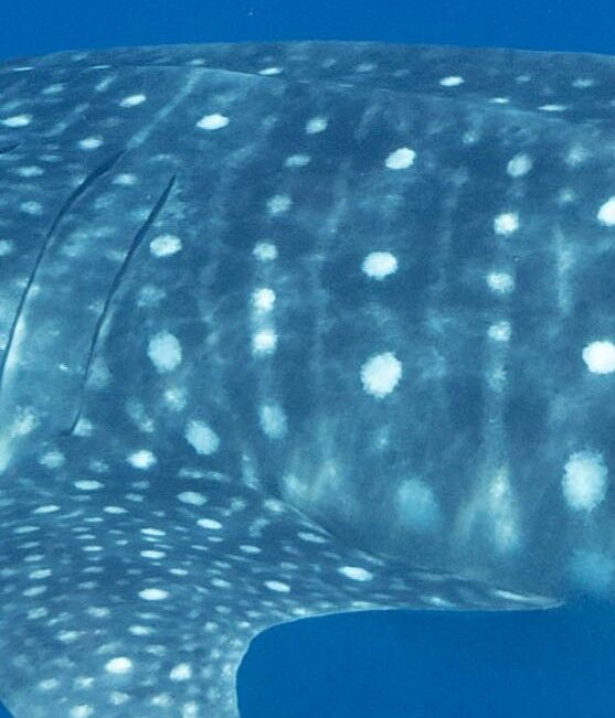 8abed7d7-7174-45cc-acfa-5e8b0abac2aa