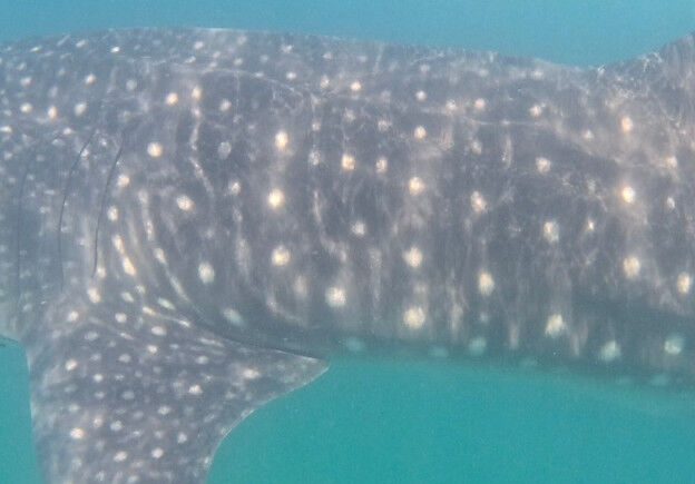 cc0f3188-70f3-4001-a19a-f4582780544a