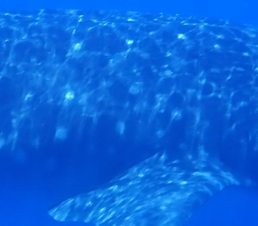 8dc5914d-45ca-404a-b7c6-165d53bffc7b