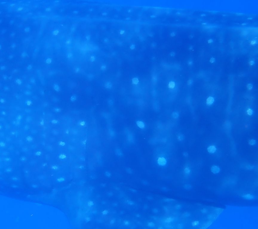 8dc5914d-45ca-404a-b7c6-165d53bffc7b