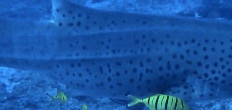 c02b565f-638b-4ac6-8eab-5b97029ce3dc