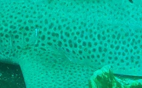 46de667d-9e59-4cd4-8aa4-a4901baf71ac