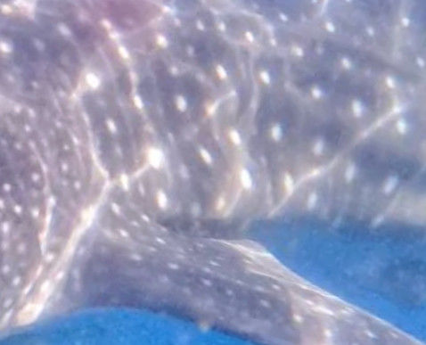 8e1666e7-41d2-4e4c-ae1a-57f1f5b465a4