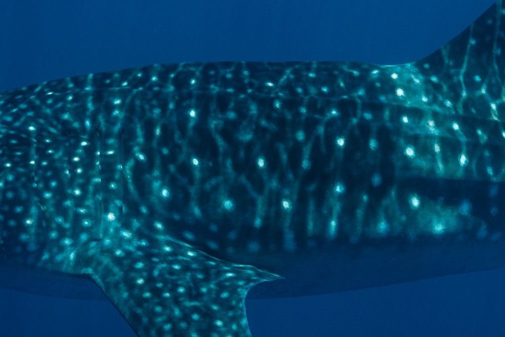 0ce2dfdf-901f-4f57-88eb-865eea235a9b