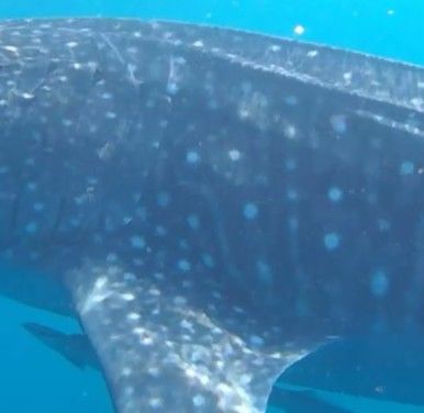 abfec947-196b-449c-a73b-cb892a641663