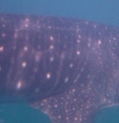 47111f68-a21a-41b5-9f15-be1e54b7d189