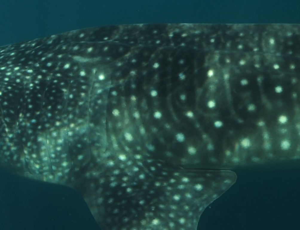 f18e06e8-9a3a-47f8-9a08-fd5006d754ac