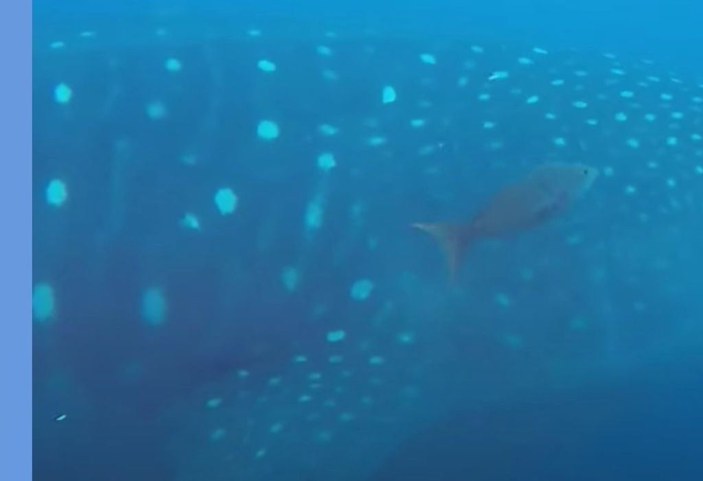 c2b4b3da-10e4-409e-a408-671c7d99c9ee