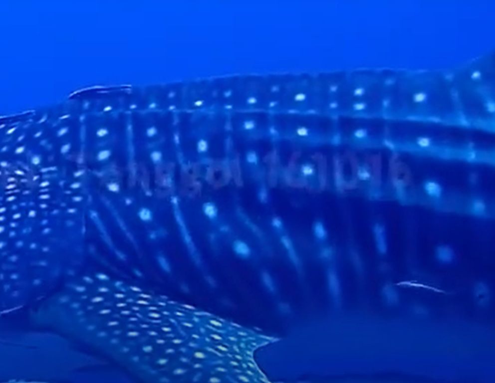 fee0061a-8bf3-43b1-aabe-f492a489832d