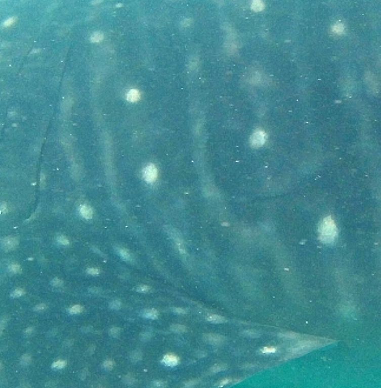 5d1762dd-9a97-4789-8d8b-16077b8e0c2b