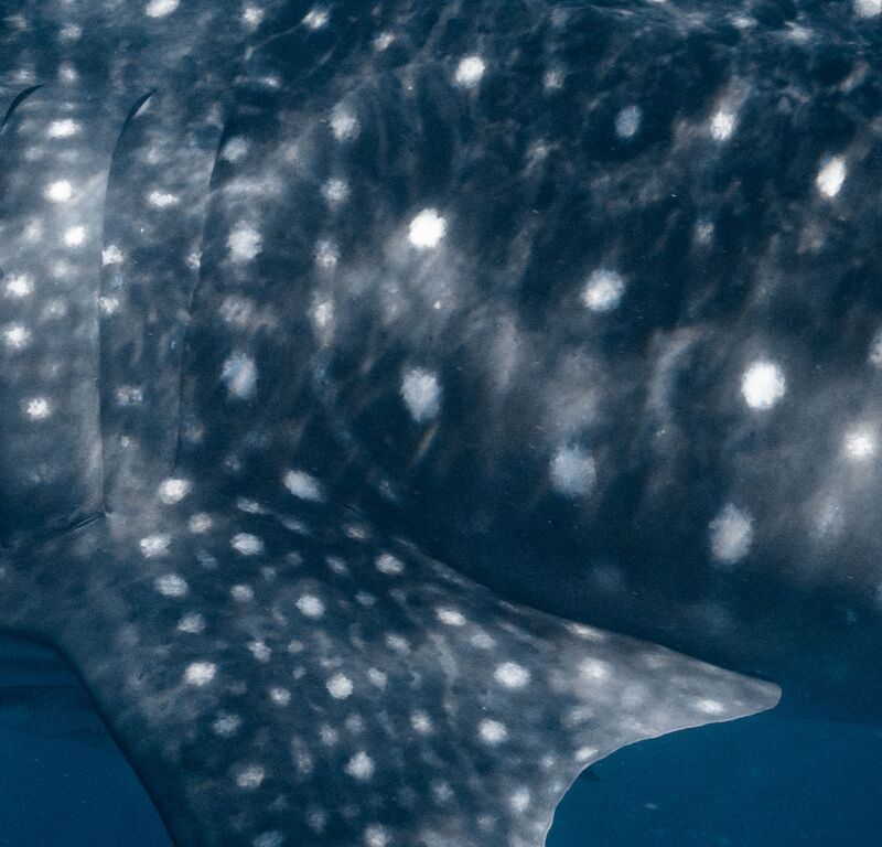 3c50ad25-c027-4af8-a974-a9d592e5738e