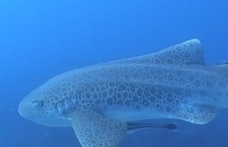 fc7b90ce-af53-49f5-ae88-133f5fc0a6a8