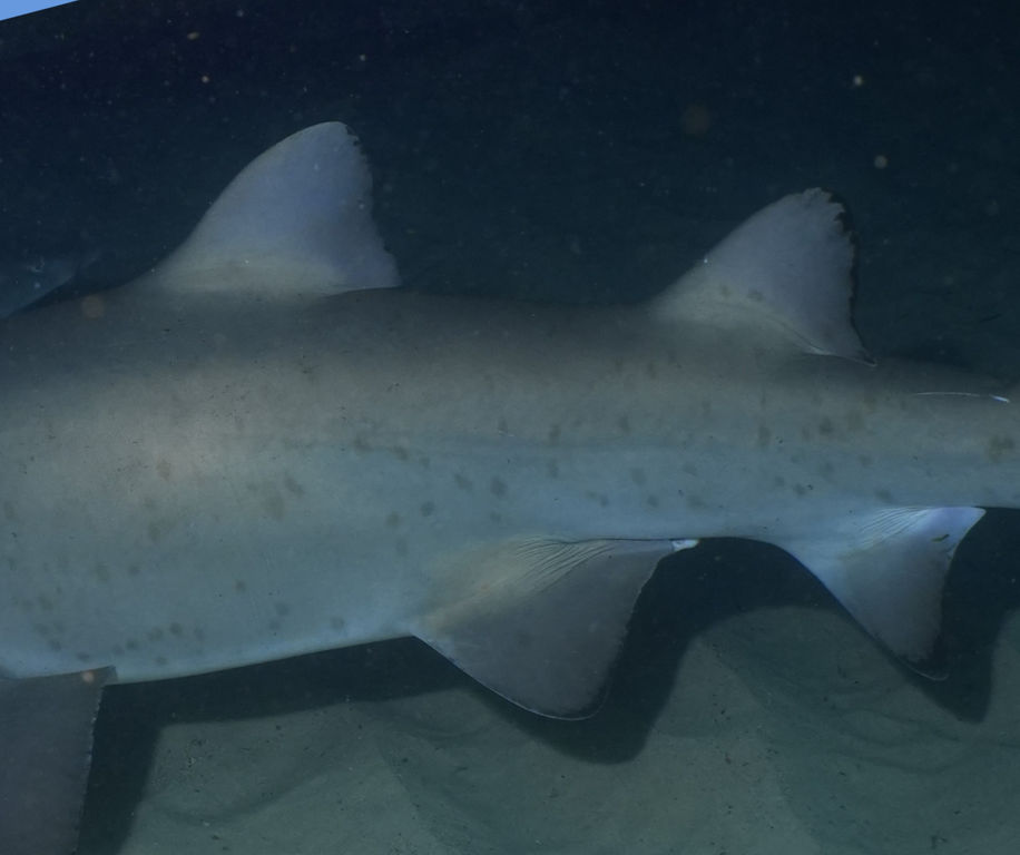 403c0e07-cd6c-4562-b38b-57e6c1088614