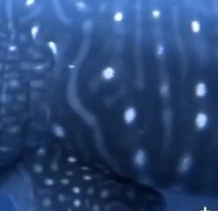 22863a3d-f42d-4463-8c67-72fb9572afb7