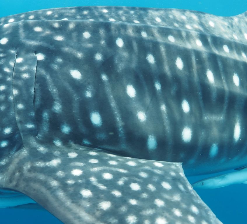 0b49d7b5-7d25-4ae5-b388-4da6aa2bb31f