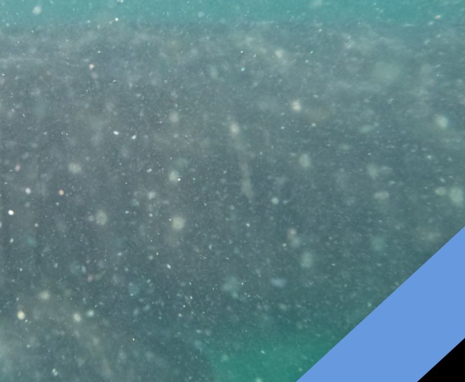 5242b041-eb84-4489-860a-a167d4930561