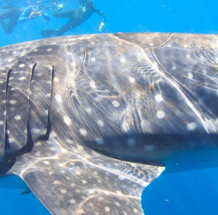 224c6c6e-cbb2-4f14-9b50-eb21a7d2c592