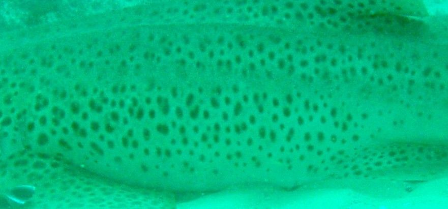 4d371535-0353-4bd2-a251-17a95c5ac01e