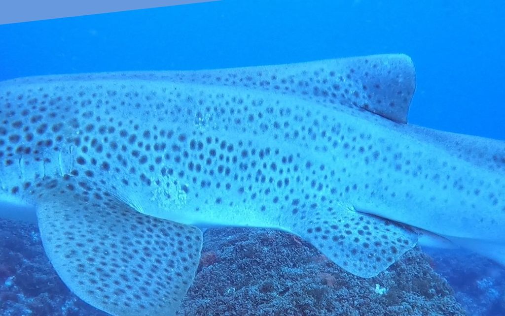 a62a67d3-73d8-4fe4-b3d5-90bed4a8756f