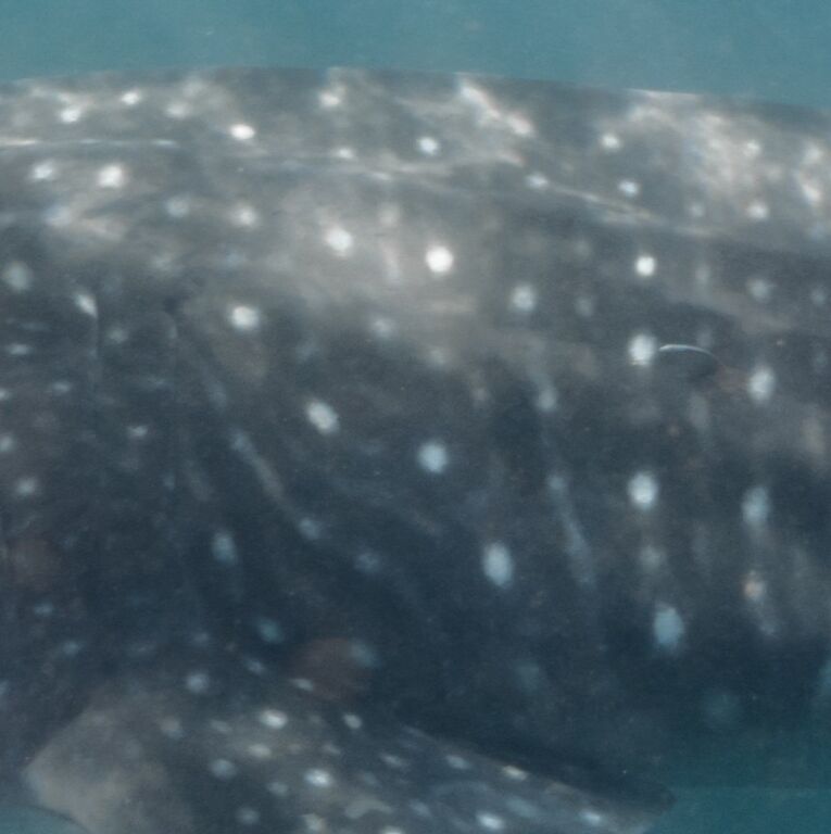 068bd46e-3c30-4565-9942-db9332c46bde