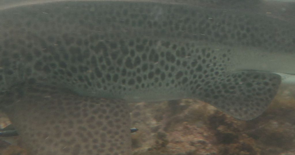 e4659021-bfc9-4cd3-a4c9-c392c155b684