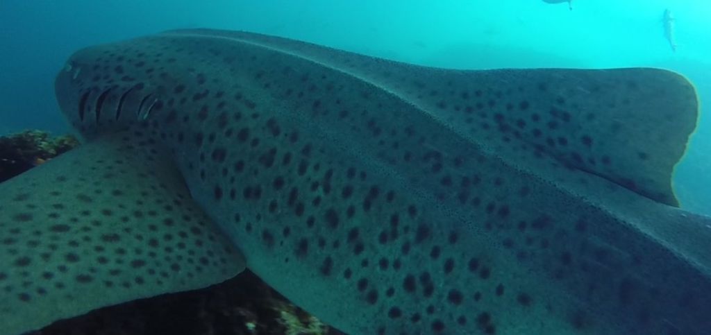 ccca8701-f352-4771-a0d4-ca1659e192b0