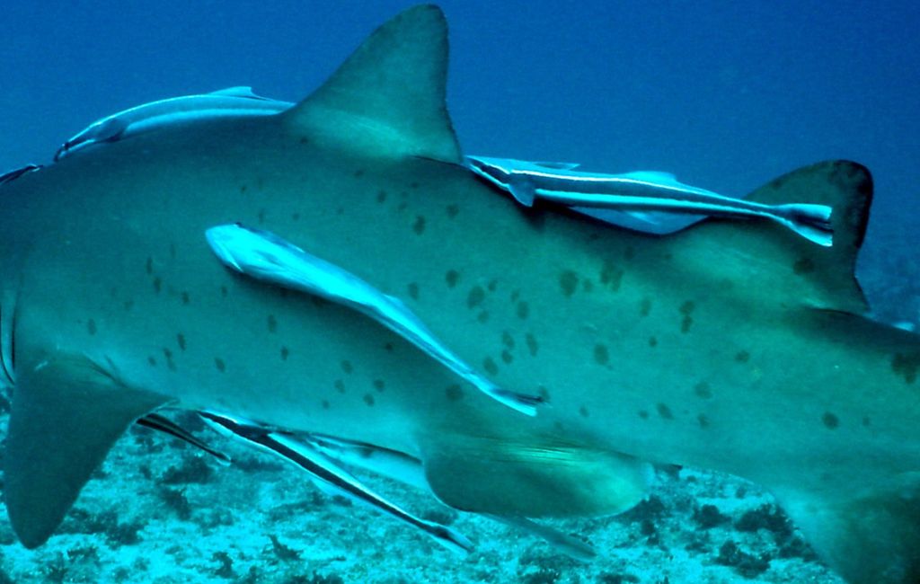 b41b8738-e359-4b01-b32b-9dff82239a13