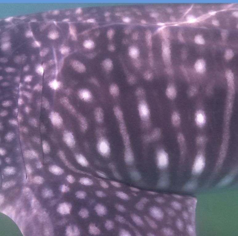 33f0d643-c21c-491a-946a-e32dc32d1ec9