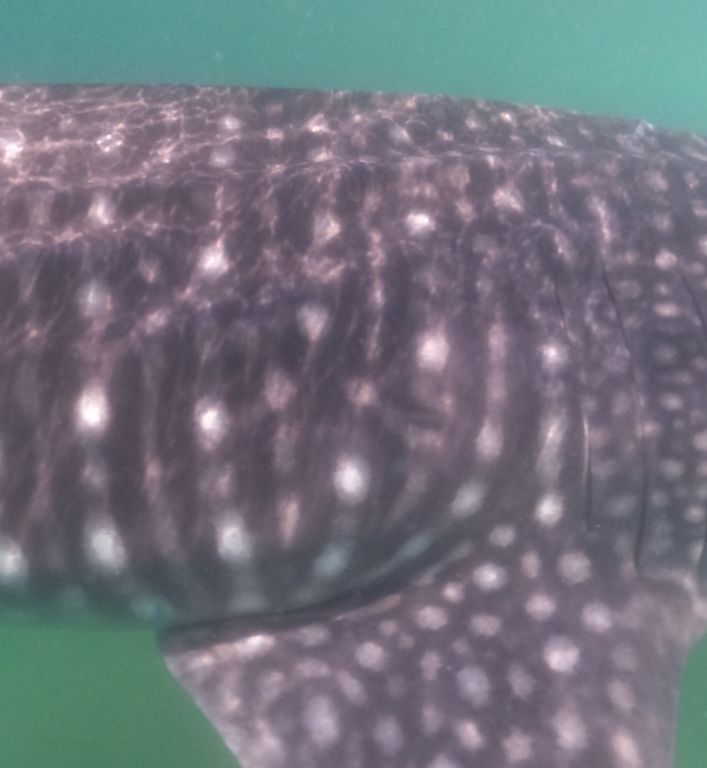 33f0d643-c21c-491a-946a-e32dc32d1ec9