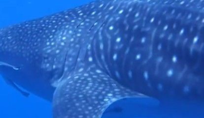 340952dc-b9dc-42ee-9e37-e32ccef113f0