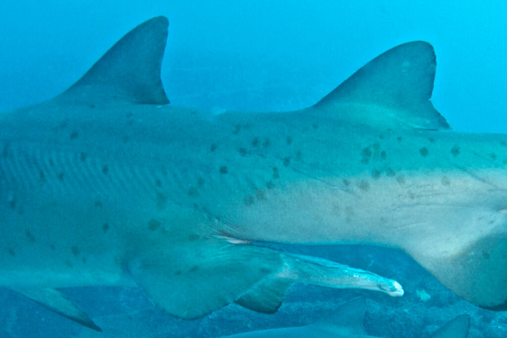 548f8ab6-4860-4f81-9125-27c25baed67f